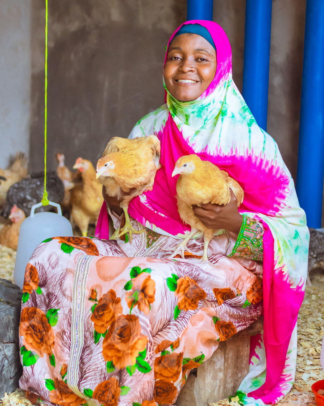 Mama Shakira’s Chickens