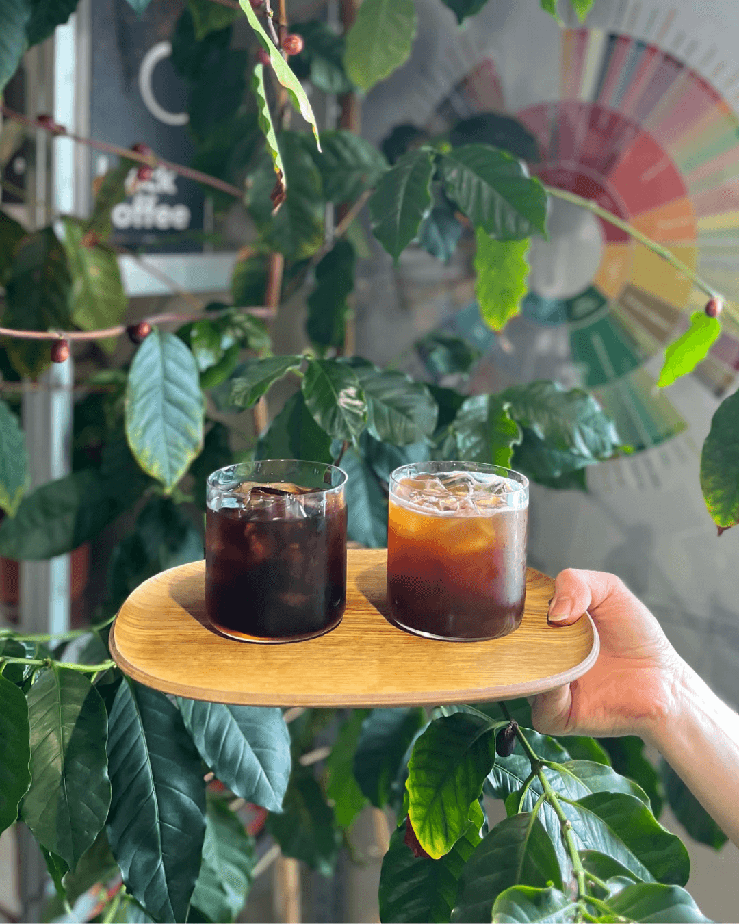 Cold Brew vs. Iced Coffee: What’s the Difference?