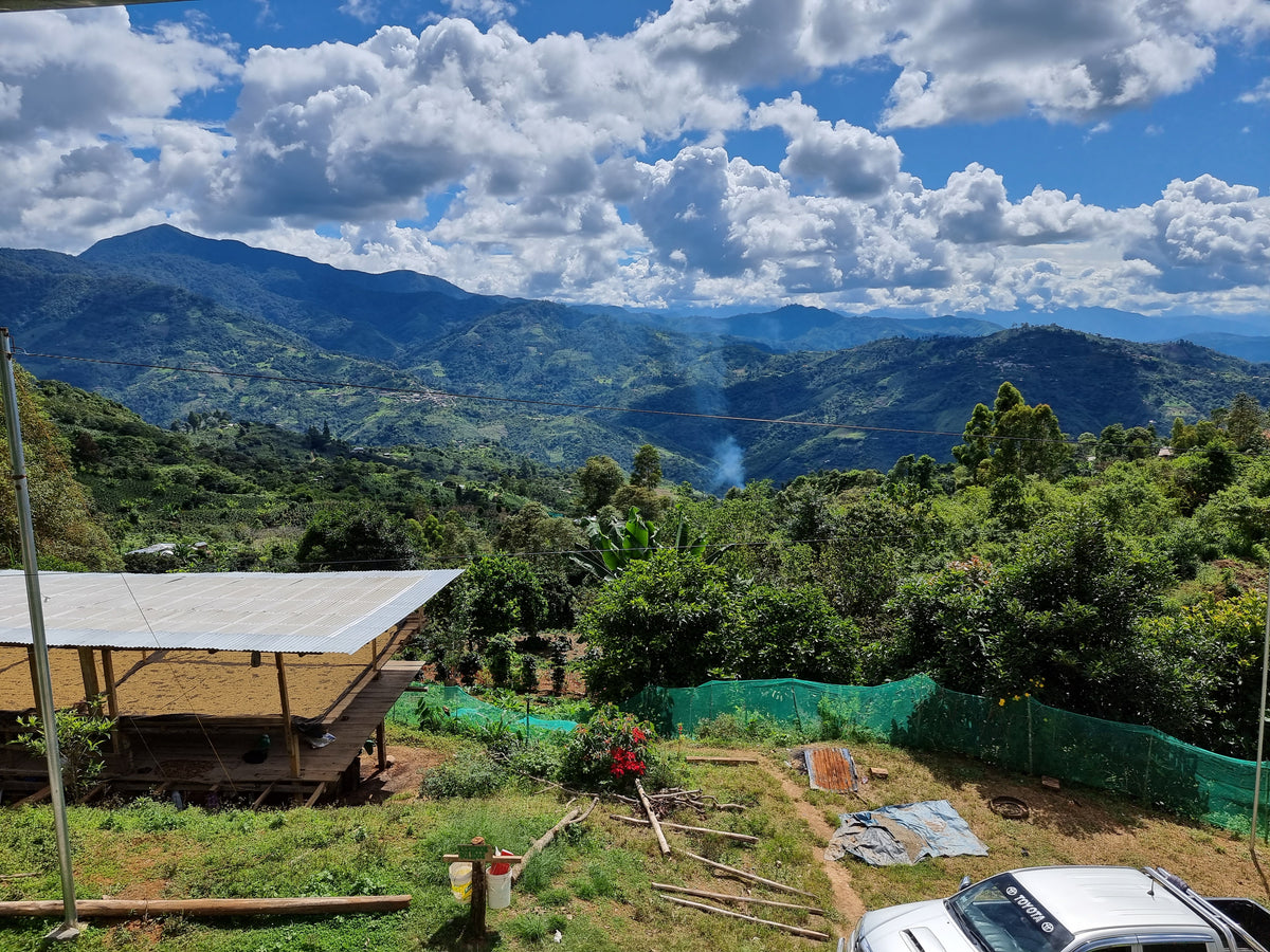 Coffee farm view with drying table, green hills, and cloudy mountains