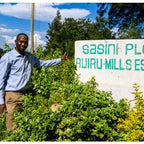 Coffee farm scene with worker beside lush coffee plants and Ruiru mill sign