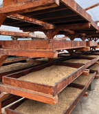 Amatillo Bioreactor coffee beans spread across wooden drying trays