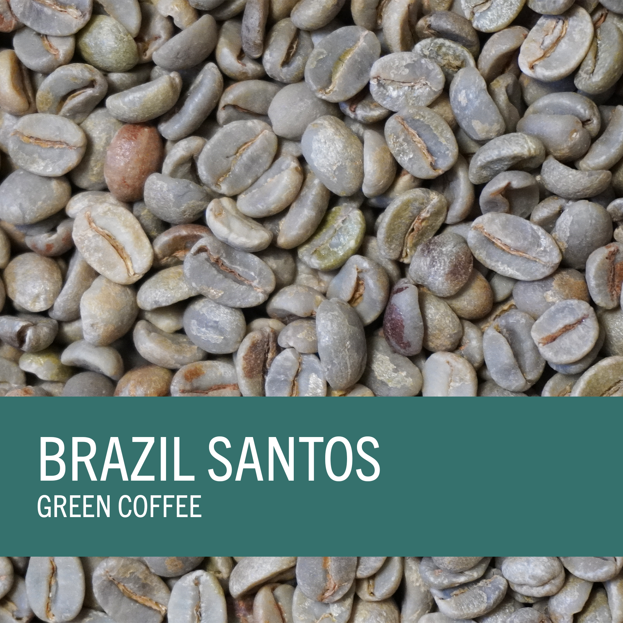 Brazil Santos (Sc 17/18) Minas Gerais (Green Coffee)