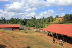Coffee farm yard with red-roof shelters, surrounded by trees and grass.