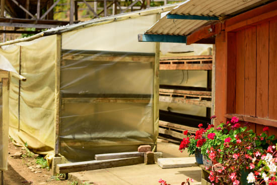 Open farm drying shelter with stacked racks and flowers near the entrance