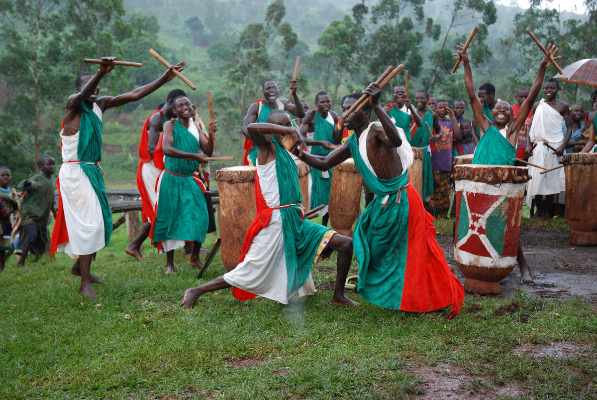 Coffee harvesting scene with workers carrying cut branches in a grassy field