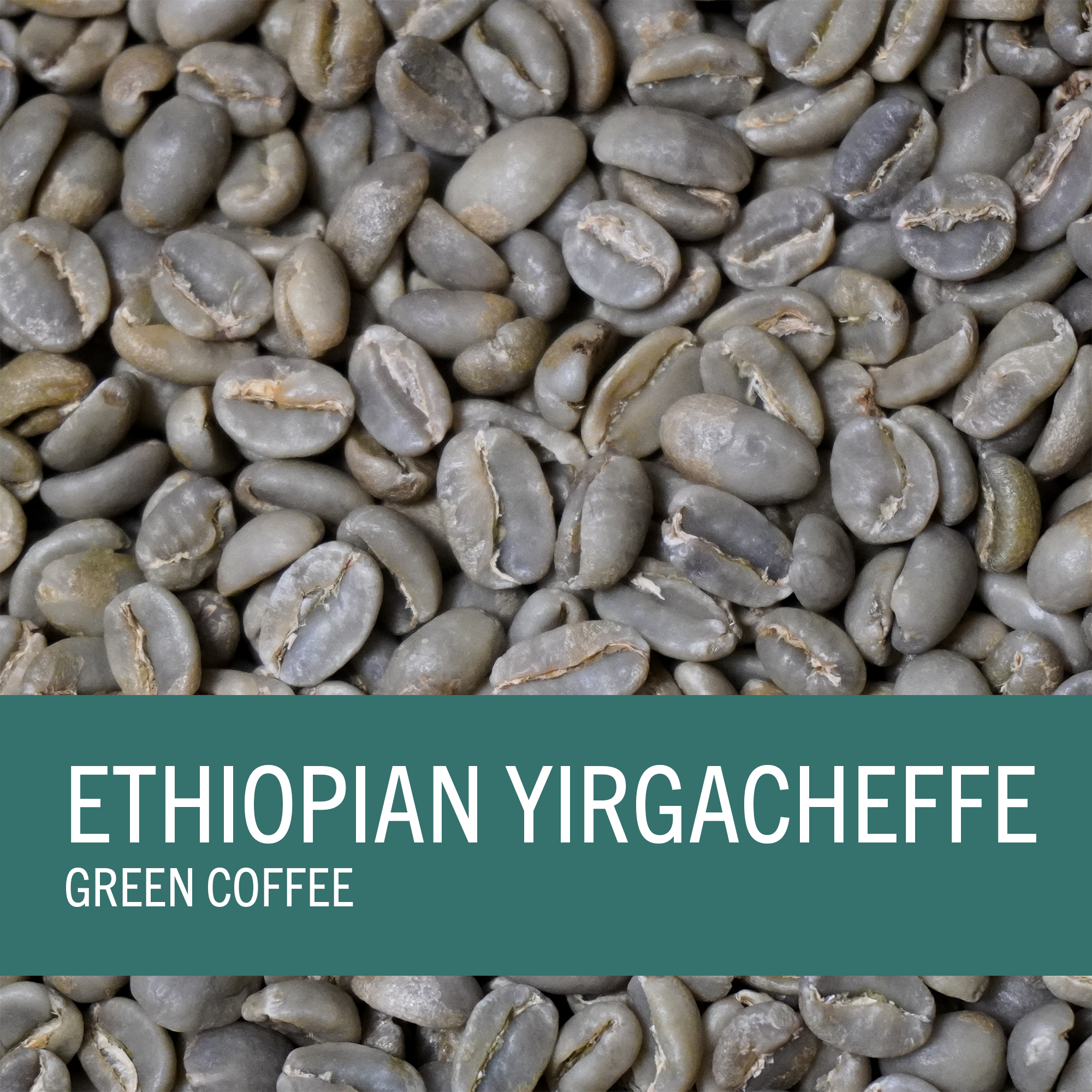 Ethiopian Yirgacheffe (Green Coffee)