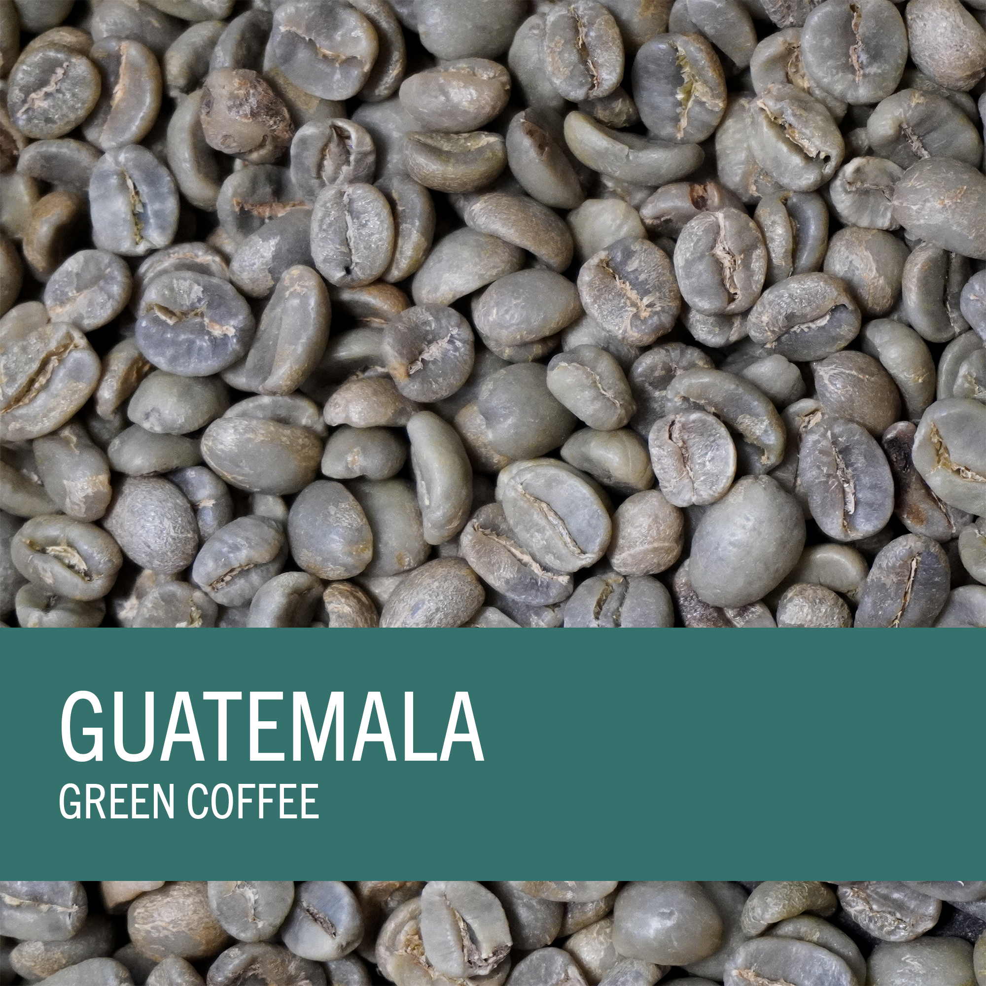Guatemala (SHB) Huehuetenango (Green Coffee)
