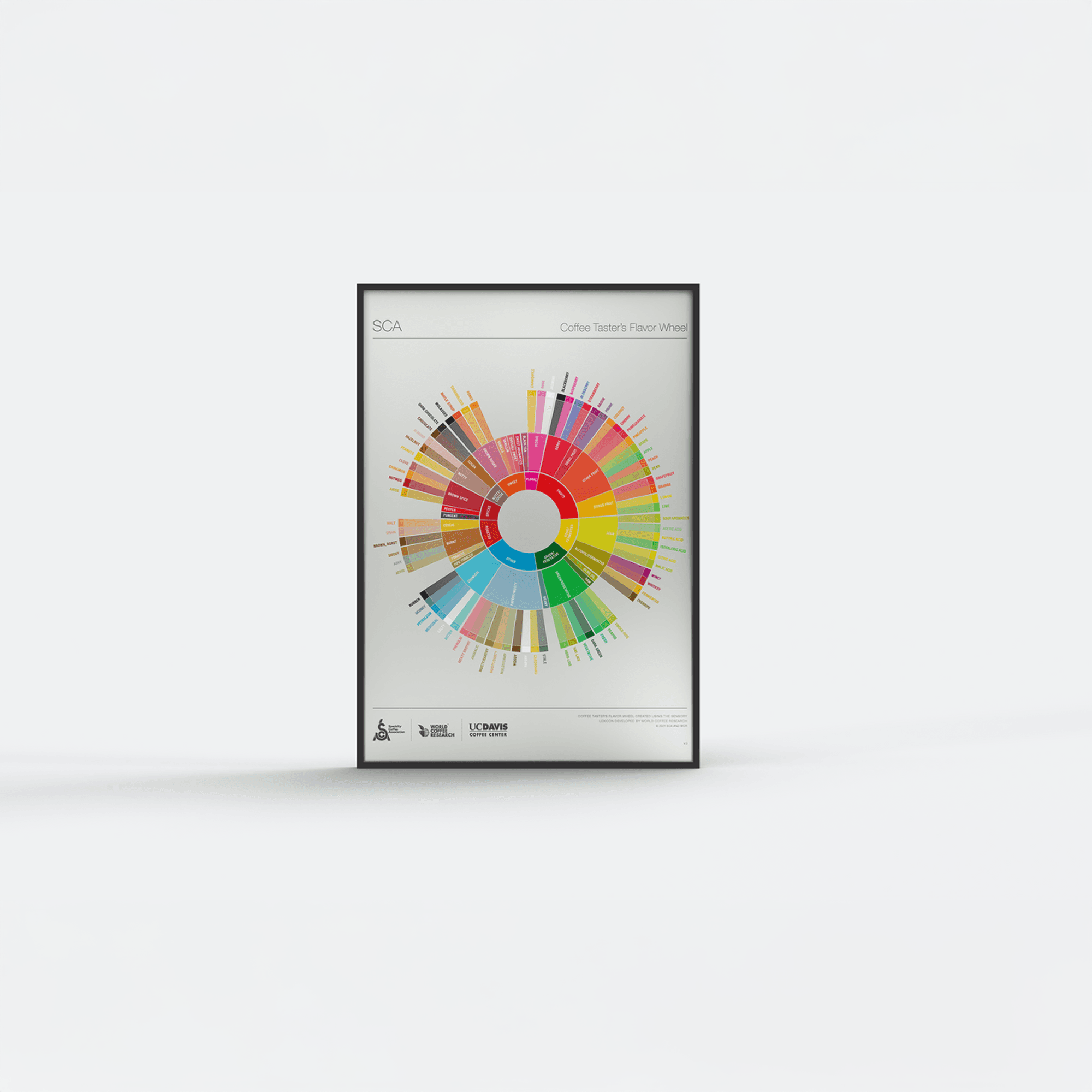 SCA The Coffee Tasters Flavour Wheel Poster