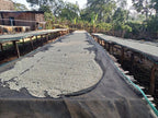 Large mound of dried coffee beans on a covered drying rack