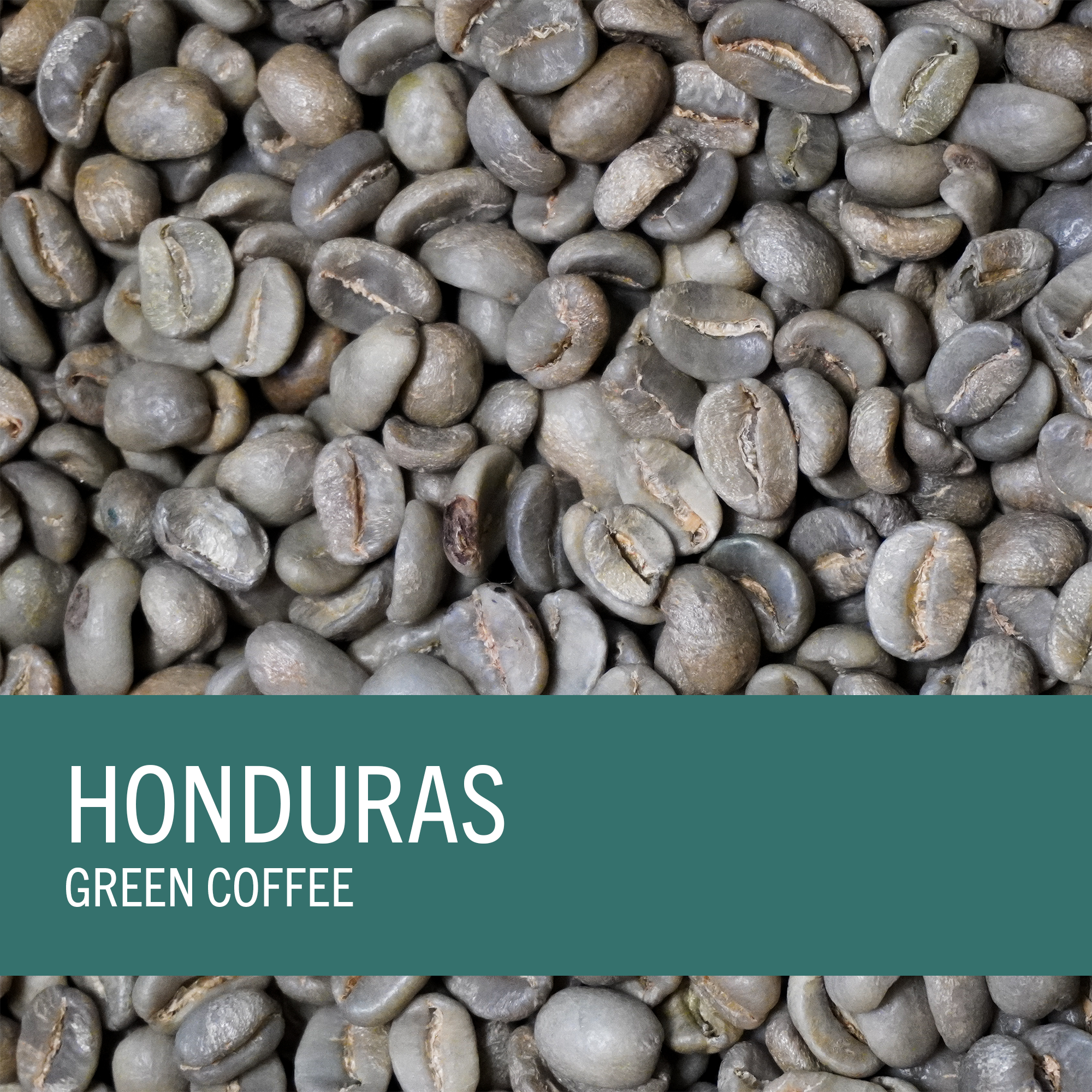 Honduras (SHG)  Finca Monte Cristo (Green Coffee)